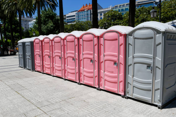 Best Portable Restroom Servicing (Cleaning and Restocking)  in South St Paul, MN